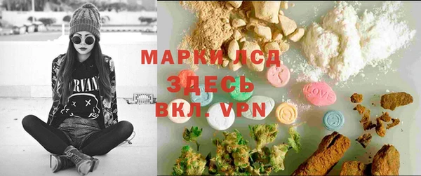 ешки Арсеньев