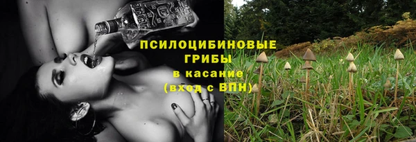 ешки Арсеньев
